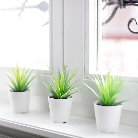 De L Ange - Au Coeur Du Centre Lägenhet