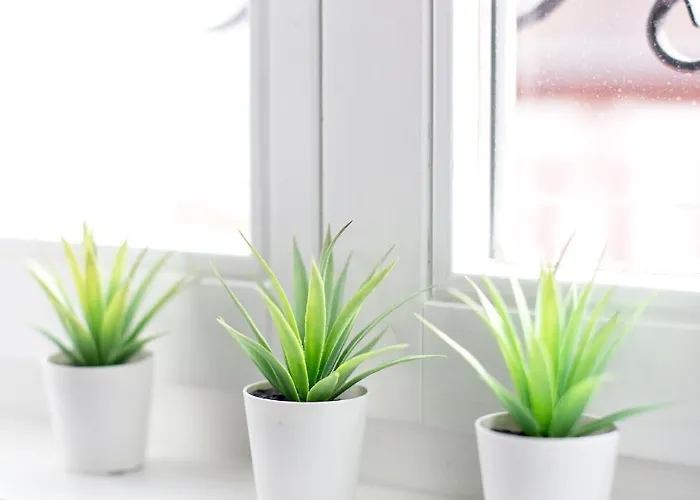 De L Ange - Au Coeur Du Centre Apartment